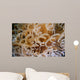 Tube Anemone Close-up Negros Wall Decal