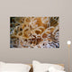 Tube Anemone Close-up Negros Wall Decal