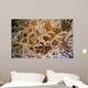 Tube Anemone Close-up Negros Wall Decal