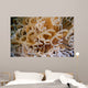 Tube Anemone Close-up Negros Wall Decal