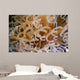 Tube Anemone Close-up Negros Wall Decal