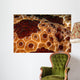 Extreme Close-up Pleurobranch Slug Wall Decal