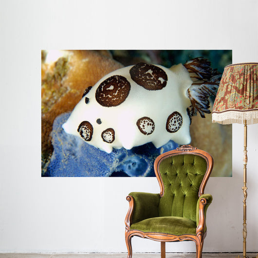 Nudibranch Feeding Blue Sponge Wall Decal