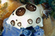 Nudibranch Feeding Blue Sponge Wall Decal