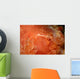 Emperor Shrimp Dorid Nudibranch Wall Decal