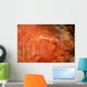 Emperor Shrimp Dorid Nudibranch Wall Decal