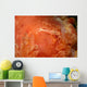Emperor Shrimp Dorid Nudibranch Wall Decal