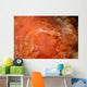 Emperor Shrimp Dorid Nudibranch Wall Decal