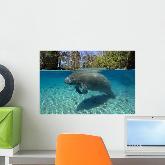 Florida Manatee Swimming Crystal Wall Decal Design 2