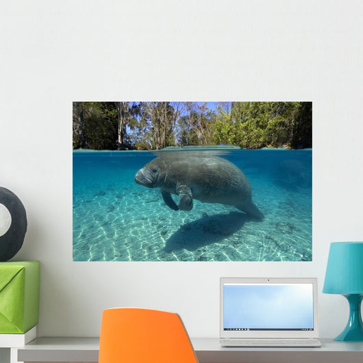 Florida Manatee Swimming Crystal Wall Decal Design 2