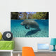 Florida Manatee Swimming Crystal Wall Decal Design 2