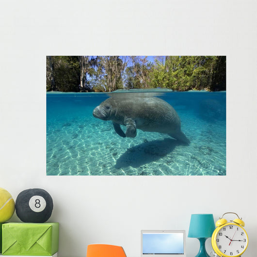 Florida Manatee Swimming Crystal Wall Decal Design 2