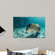 Young Florida Manatee Swimming Wall Decal