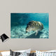 Young Florida Manatee Swimming Wall Decal