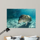 Young Florida Manatee Swimming Wall Decal