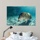 Young Florida Manatee Swimming Wall Decal