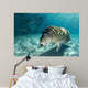 Young Florida Manatee Swimming Wall Decal