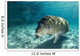 Young Florida Manatee Swimming Wall Decal