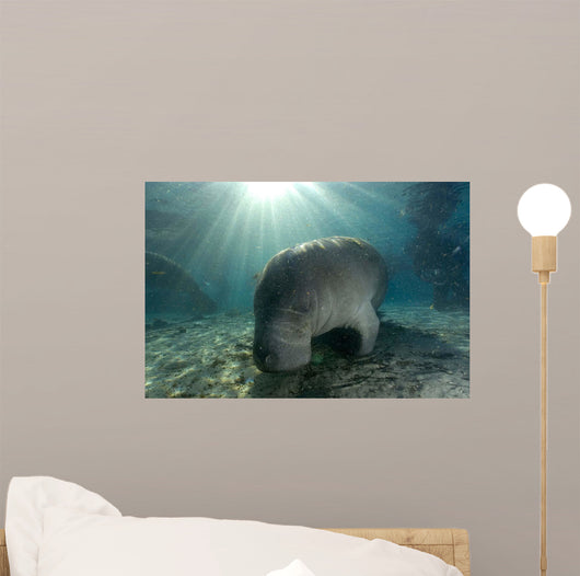 Florida Manatee Swimming Crystal Wall Decal Design 1