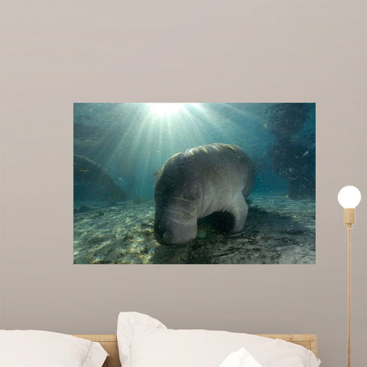 Florida Manatee Swimming Crystal Wall Decal Design 1