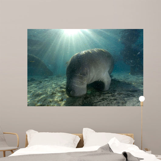 Florida Manatee Swimming Crystal Wall Decal Design 1