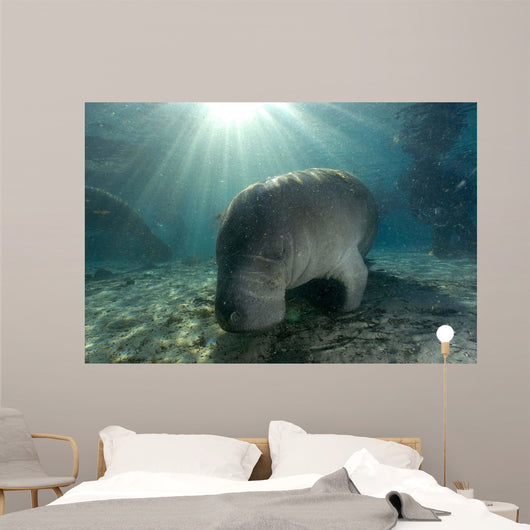 Florida Manatee Swimming Crystal Wall Decal Design 1
