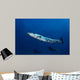 Great Barracuda with Divers Wall Decal