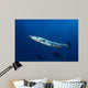 Great Barracuda with Divers Wall Decal