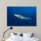 Great Barracuda with Divers Wall Decal