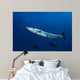 Great Barracuda with Divers Wall Decal