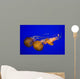 Pacific Sea Nettle Wall Decal