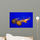 Pacific Sea Nettle Wall Decal
