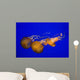 Pacific Sea Nettle Wall Decal