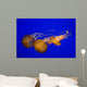 Pacific Sea Nettle Wall Decal