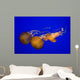 Pacific Sea Nettle Wall Decal