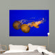 Pacific Sea Nettle Wall Decal