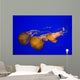 Pacific Sea Nettle Wall Decal