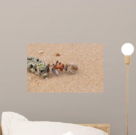 Hermit Crabs Tibarama Island Wall Decal