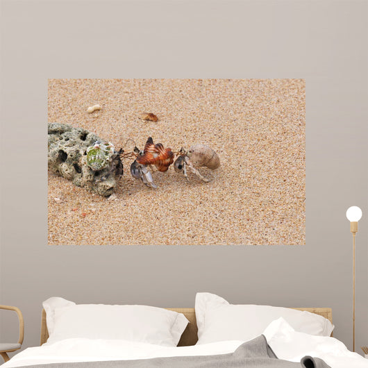 Hermit Crabs Tibarama Island Wall Decal