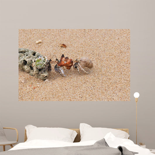 Hermit Crabs Tibarama Island Wall Decal