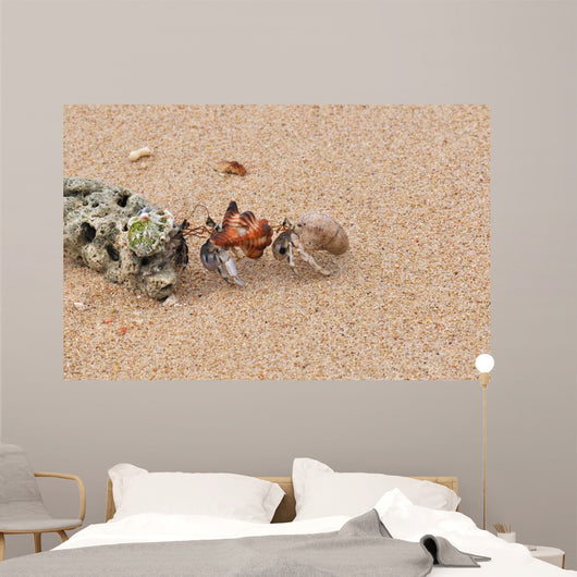 Hermit Crabs Tibarama Island Wall Decal