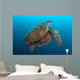 Two Green Sea Turtles Wall Decal