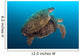 Two Green Sea Turtles Wall Decal