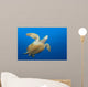 Endangered Green Sea Turtle Wall Decal Design 4