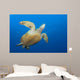 Endangered Green Sea Turtle Wall Decal Design 4