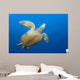 Endangered Green Sea Turtle Wall Decal Design 4