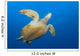 Endangered Green Sea Turtle Wall Decal Design 4