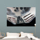 Close-up Gill Slits Manta Wall Decal