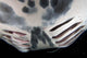 Close-up Gill Slits Manta Wall Decal