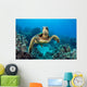 Endangered Green Sea Turtle Wall Decal Design 3